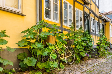 Fototapeta na wymiar Yellow bike overgrown with hollyhooks, leaning up against the wall of an old half-timbered house in Faaborg