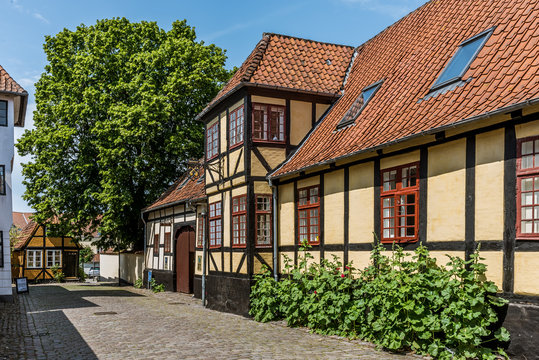 a yellow idyllic half-timbered house with green hollyhocks along the wall