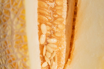 Fragment of melon pulp with seeds