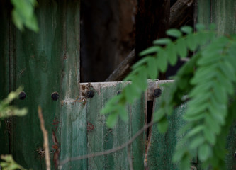 old green wooden door with a window in an abandoned forest house