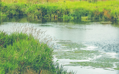River shore with grass and water in Moscow region summer time. Grain background.