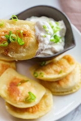 Polish Pierogies Sour Cream
