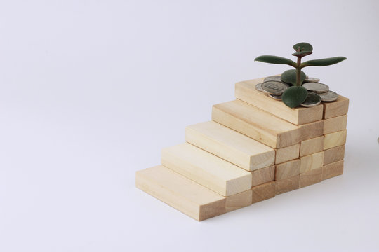 wooden bricks built staircase. In fact, a money tree is growing, a symbol of wealth and coins. The concept of money growth, profit and capital accumulation. Money of Ukraine. Isolated Open Space