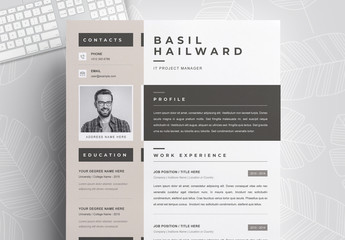 Resume Layout with Beige Elements