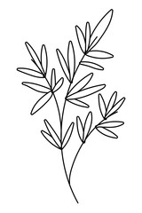 Isolated leaf design vector illustration