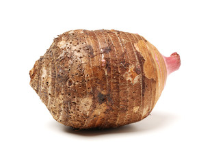 Taro on a white background