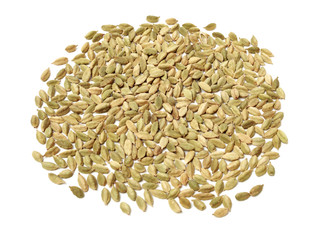 Green cardamom pods on white background