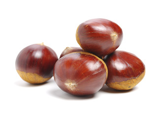 Sweet chestnut on white background
