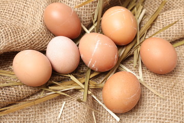 Eggs in hay 