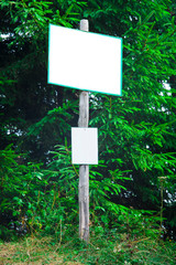 white board in the forest for your text