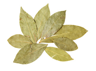 Aromatic bay leaves isolated on white background