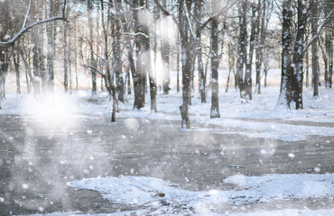 Winter Park. Landscape in snowy weather. January.