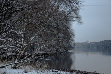 Trees covered by snow next to a river