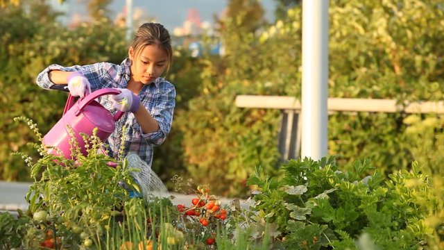 Young Japanese girl watering plants in an urban garden