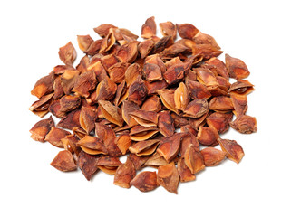 star anise on white background