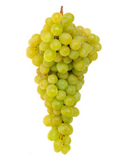 Beautiful ripe washed wet bunch of yellow grapes isolated on white, ready to eat