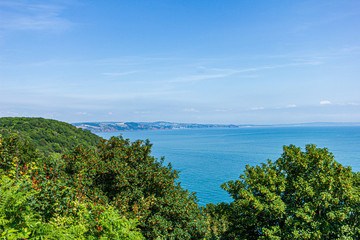 Fototapeta na wymiar A seascape panorama from a hill with trees and a beautiful flat blue sea water under a majestic blue sky and some white clouds