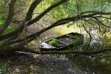 Old damage Rowboat with old big Trees about River Sazava in Central Czech