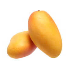 Mango on a white background