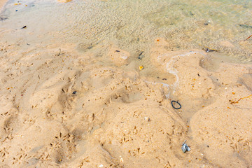 footprints in the sand