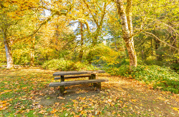 Picnic table in a park in the Autumn