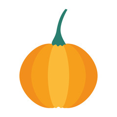 pumpkin vegetable with stem icon