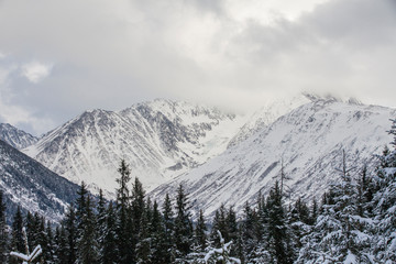 Fototapeta na wymiar Alaskan winter view.