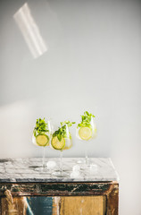 Hugo Sparkling wine cocktail with fresh mint and lime over white wooden and marble counter, white wall background, copy space. Cold refreshing summer alcoholic drink
