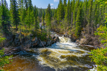 river in the forest