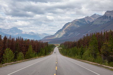 Scenic road in the Canadian Rockies during a vibrant sunny and cloudy summer morning. Taken in Icefields Parkway, Jasper National Park, Alberta, Canada.