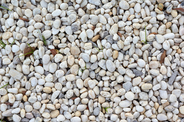 Background of the white pebbles