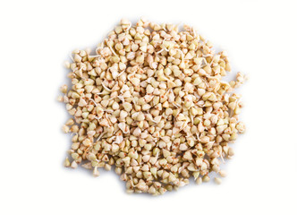 Heap of germinated buckwheat isolated on white background, top view.