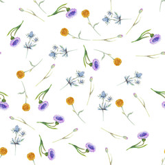 Seamless pattern with wildflowers and leaves on white background. Floral pattern for Wallpaper or fabric. Watercolor illustration. Element of packaging design, invitations, cards, etc