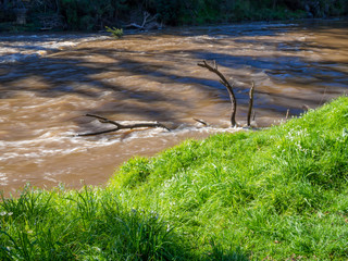 Spring Flood River