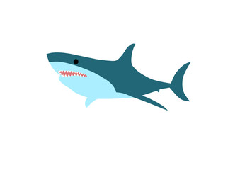 Great white shark
