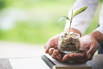 Hand of girl with tree growing from pile of coins . hand holding a young tree growing on coins.Growing business.Businessman holding growth plant with hands.