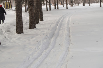 Ski in the fresh snow in the winter Park among the trees, people walk along the ski trail, the...