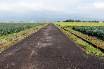 Obraz premium 田舎の風景