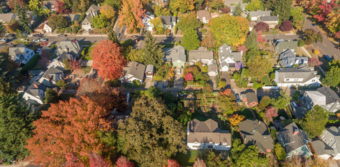Aerial view of Salem Oregon in the Fall - 290415957
