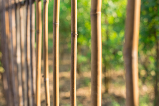 Selective focus of Bamboo fence on natural  blurred background