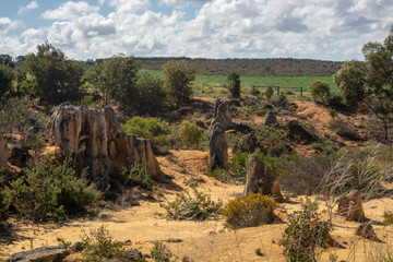 Rocks growing out of the ground