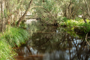 Fototapeta premium Still waters on the pond