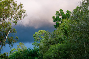 Obraz na płótnie Canvas Storm coming in through the trees