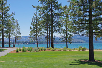 Obraz premium Panoramic view of lake Tahoe under a blue summer sky with a snow patched mountain range in the distant background and a park like lawn and high tree in the foreground