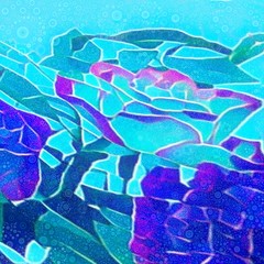 青い背景のバラの絵