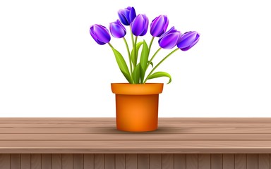 purple tulip in vase on the wooden table