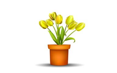Fototapeta na wymiar yellow tulip in vase on the wooden table