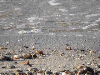 Beach views  from Capecod, Massachusetts