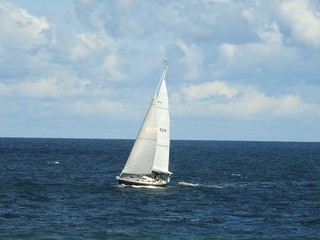 Obraz premium Sailing in Capecod