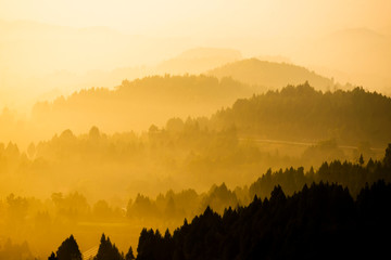 The peaks overlap after the rain